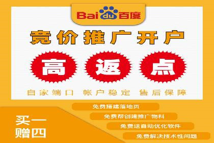 SEM代运营案例分析：精准投放策略解析